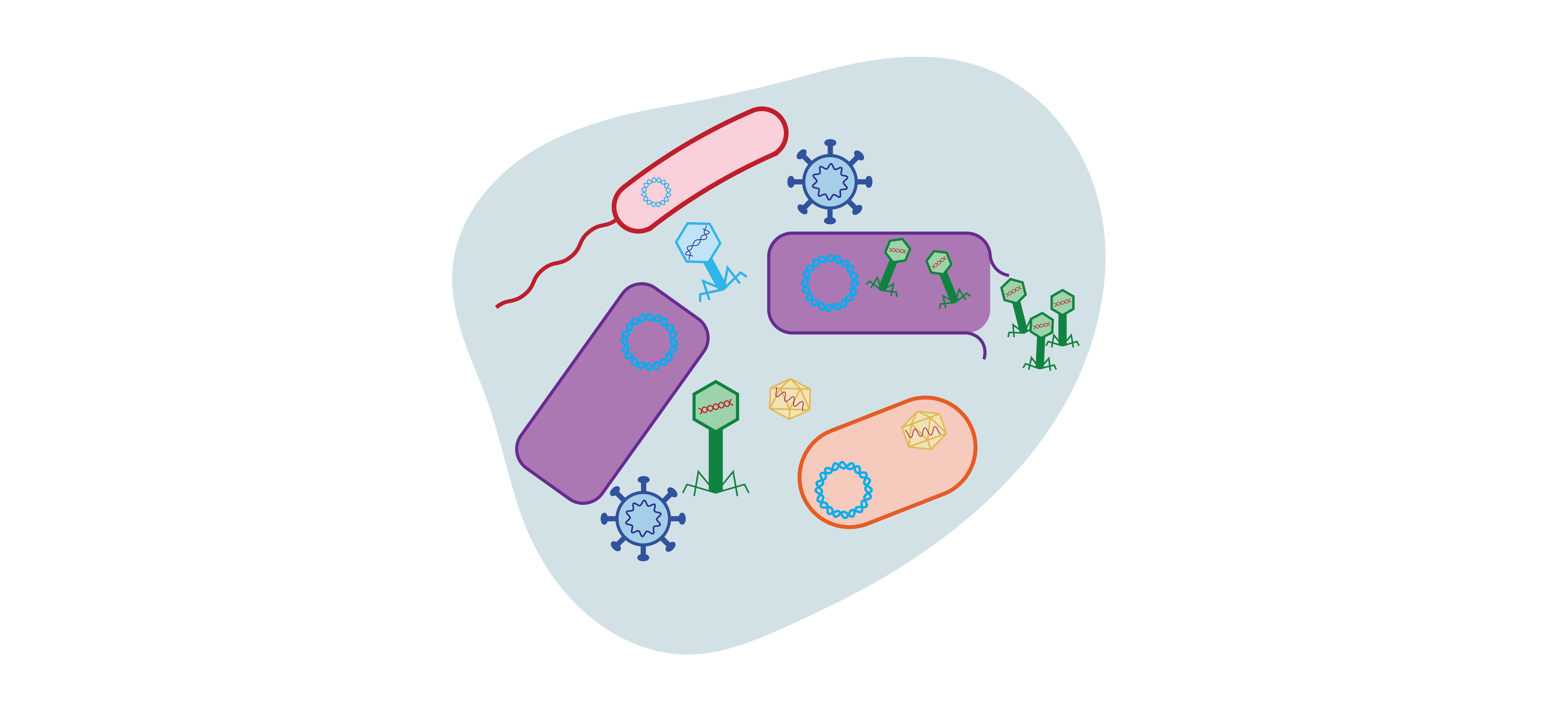 microbe-microbe-interactions